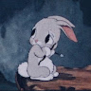 Meet your Posher, Savannah